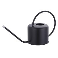 大容量浇花洒水壶长嘴家用绿植多肉盆栽不锈钢园艺淋花壶养花喷壶 1.3L睿智黑 39X13.2X19.6CM