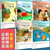 小鲤鱼跳龙门全套二年级课外书儿童必读注音版一只想飞的猫小学生 二年级上册必读5本(明天出版社)