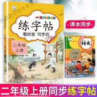 小学二年级上下册语文课本同步练字帖人教版正楷楷书硬笔书法字帖 二年级上册 同步练字帖