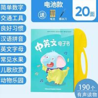 婴幼儿童有声挂图玩具拼音字母表全套早教发声宝宝识字点读学习机 小本全套20面点读挂本[电池款]