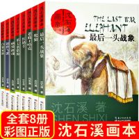 全8册沈石溪动物小说画本儿童文学小学生三四五六年级课外阅读书