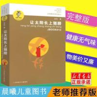 让太阳长上翅膀 三四年级必读 金波著 我喜欢你金波儿童文学 让太阳长上翅膀