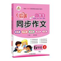 童年六年级上册必读课外书小英雄雨来爱的教育高尔基正版课外阅读 六年级老师推荐 [同步作文]1本