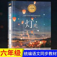 [官方正版]灯光王愿坚著六年级推荐必读书小学生课外书儿童书籍