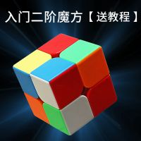 儿童拼图男孩女孩宝宝2-3岁6早教益智力魔方动脑开发启蒙拼装玩具 2阶入门彩色魔方[送教程]