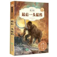 沈石溪动物小说全集小学生三四五六年级阅读课外书必读书老师推荐 最后一头猛玛 单本