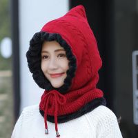 冬天骑电动车戴的帽子女骑车挡风加绒加厚披肩一体雷锋帽男遮脸帽 WS帽-H 均码(男女均可戴 加绒加厚)