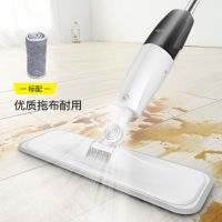 德尔玛喷水拖把免手洗懒人拖把地板瓷砖拖布干湿两用拖把TB800 TB800