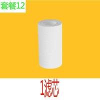 柠檬酸除垢剂电热水器除垢神器免拆水壶水垢强力高效清洁剂过滤器 1滤芯