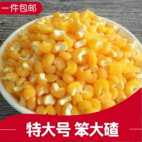 大粒笨大碴子 新粮东北农家笨玉米碴子 粗粮苞米碴子煮大碴粥 大粒-笨大碴子-2斤