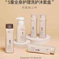 阿道夫洗发水护发素沐浴露小样旅行装便携试用装慕斯洗护礼盒套装 阿道夫旅行套装