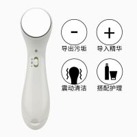 美容仪器脸部多功能洗脸仪离子导入导出黑头神器清洁器按摩器家用 象牙白 多功能美容仪[标配-原装电池]