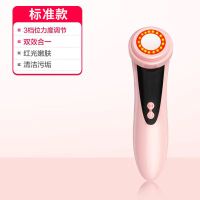 李佳琦推荐美容仪器脸部提拉紧致嫩肤多功能导出导入仪器瘦脸神器 普通款丨红光清洁+震动按摩