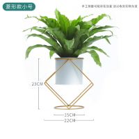 北欧风花盆创意简约阳台客厅室内绿萝多肉吊兰干花花盆架子 [白色] [加粗款菱形 小号]