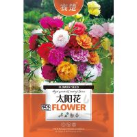 花种子满天星波斯菊太阳花野花组合阳台室内四季花草盆栽观花种籽 太阳花种子1克约1万粒 1包