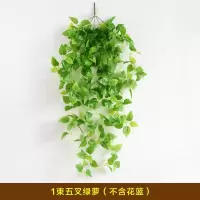 绿萝花盆吊兰花盆悬挂花篮装饰客厅壁挂花盆装饰挂墙花盆吊篮植物 一束五叉绿萝 不含花篮