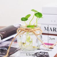 [3件套]欧式简约创意玻璃花瓶摆件客厅插花水培鲜花干花透明花 2个小南瓜+麻绳(透明色)