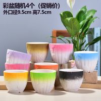 多肉花盆陶瓷特价清仓吊兰绿萝花盆大号码创意简约小花盆批发 彩盆随机4个(清仓)9cm