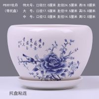 [特价清仓]花盆陶瓷特大号配托盘 创意简约绿萝家用圆形兰花盆 PB301牡丹(带托盘) 中号