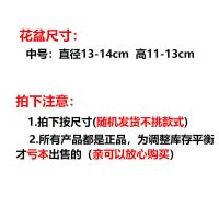 花盆陶瓷特大号批发带托盘特价清仓高款花盆中号个性创意简约花盆 随机发(不选款式) 中号