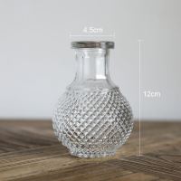 复古玻璃花瓶透明马德里浮雕干花鲜花插花瓶小清新摆件摄影道具 小浮雕-小世界