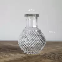 复古玻璃花瓶透明马德里浮雕干花鲜花插花瓶小清新摆件摄影道具 小浮雕-小世界