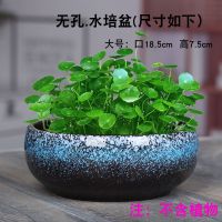 无孔水培花盆陶瓷铜钱草花盆水仙花睡莲多肉碗莲专用家用陶器花盆 水培兰花釉一个大号