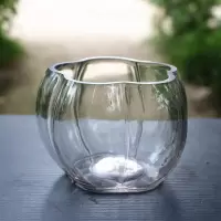小南瓜造型 玻璃水培花瓶 水培专用玻璃花盆可养铜钱草南瓜玻璃盆 小号