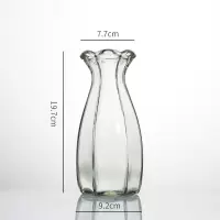现代简约玻璃花瓶插花客厅摆件水培花瓶六棱瓶透明水养瓶 透明 玻璃
