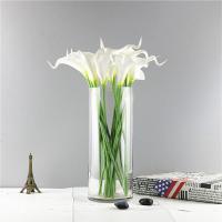 特大号透明玻璃花瓶摆件客厅插花干花直筒富贵竹水养水培婚庆落地 口径10cm高度20cm 默认