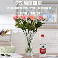 水养玻璃大花瓶干花鲜花百合玫瑰富贵竹客厅桌面插花摆件透明花器 25凤尾款(加厚一级品质)