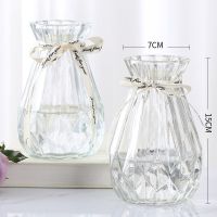 [两件套]简约透明玻璃花瓶水养百合富贵竹鲜花插花瓶客厅摆件 15新诺[透明2个] 中等