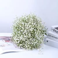 多色满天星干花束批发真花大束成品摆件客厅勿忘我永生花生日礼物 满天星 白 永生花干花