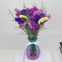 满天星干花花束真花鲜花装饰摆件客厅摆设插瓶大束云南天然风生日 勿忘我 10支体验装