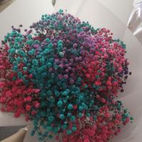 鲜花满天星花束生日礼物女圣诞节礼物教师节礼物情人节母亲节礼物 颜色自由搭配联系客服 小花束 不带灯