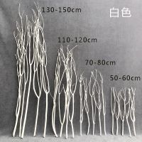 工程围挡 彩色干树枝 仿真树枝配件 婚庆舞台场地布置装饰干枝 白色 50-60厘米 3支