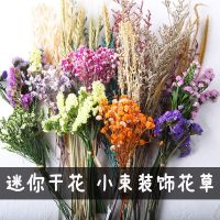 带花瓶满天星干花花束真花大花束成品批发勿忘我房间客厅装饰摆件 随机小花束 无瓶