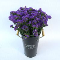 云南天然干花蓝色妖姬花束家居摆设勿忘我真花客厅插花情人节礼物 紫色勿忘我1斤