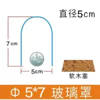 永生花软木塞玻璃罩羊毛毡diy收纳防尘手工艺品干花娃娃盲盒黏土 柱形5x7cm+软木塞底座
