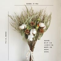 ins风干花棉花勿忘我花束麦秆菊尤加利室内软装装饰摆件拍摄道具 棉花松果款 纯花束