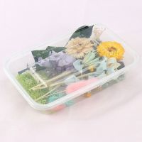 永生干花材料包节日手工花艺制品diy贺卡干花永生花干花花材混合 随机不少于十种花型