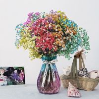 云南满天星干花花束真花大花束成品带花瓶批发勿忘我客厅装饰摆件 七彩星