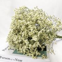 干花勿忘我花瓶蓝色妖姬真花风干装饰客厅情人节花束礼物 水晶草10大支