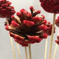 彩色松果插枝干花干枝 婚礼装饰家居装饰品隔断橱窗摆件圣诞用品 红色植绒 6枝
