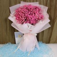 超大一大束满天星干花花束精装花送闺蜜生日礼物永生花真花小清新 精装粉纸粉星