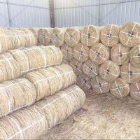 草绳子稻草绳捆树捆葱稻草人包装捆绑防护保温防寒防冻保湿移栽[11月19日发完] 0.8厘米粗110米长