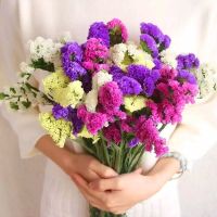 勿忘我满天星干花花束真花风干天然客厅装饰家居摆设摆件插花大束 34支6色勿+情人草 不含瓶