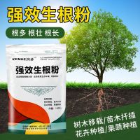 生根粉植物通用扦插用发根快速生根剂生根壮苗剂树木果树移栽发根 一袋[20克]