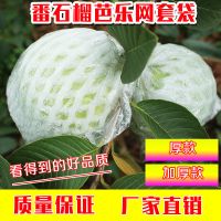 番石榴芭乐防虫网套袋树上水果泡沫一体专用袋网套袋加厚款防虫袋 100套(厚款)