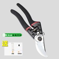 修枝剪粗枝剪剪粗树枝修花木采摘花椒苹果SK5强力园林剪枝条剪子 S金属黑柄粗枝剪